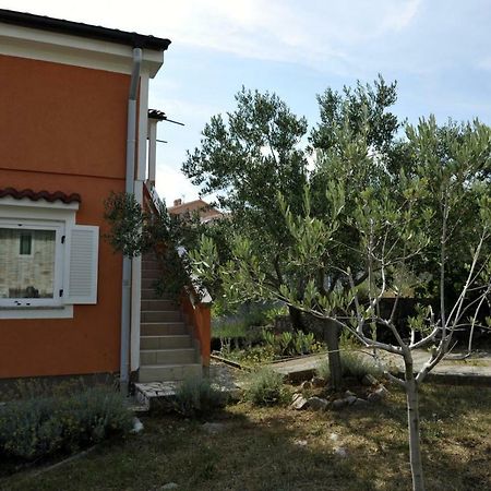 Apartman Branka Kornić Eksteriør billede